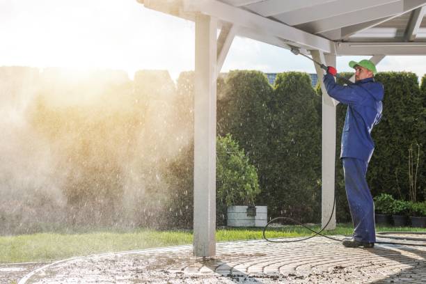Best Driveway Pressure Washing  in Elm Creek, NE
